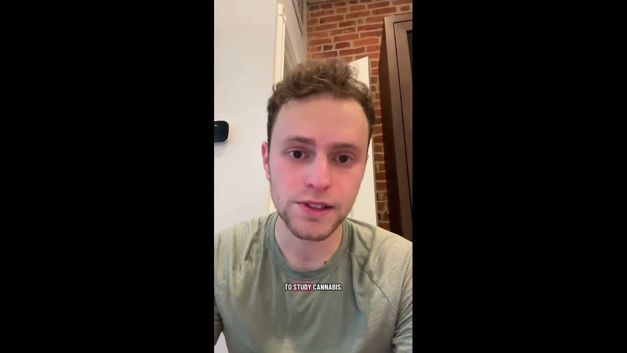 Trump makes weed great again