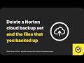 How to delete a backup set and the files that you backed up