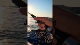 Jigging is passion #mancing #hellas #japan #tackle #ψαρεμα #greek #sea #fish #ελλάδα #boatcasting