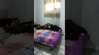 Çıxarışdı 3 Otaqlı Həyət Evi. 0556807473