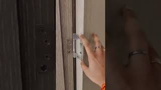 Flush Door Hinges Profile