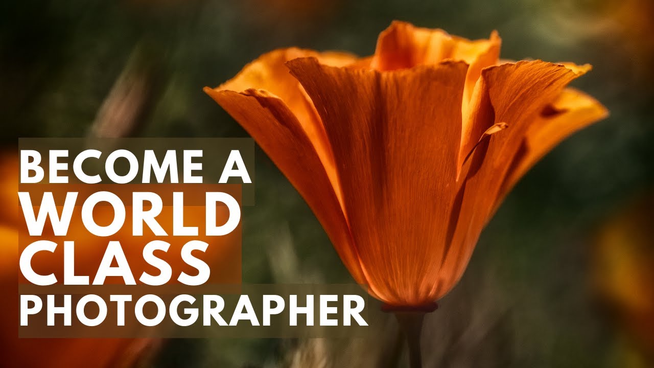The Creative Mentorship Launch: How to make World Class Photography NOW