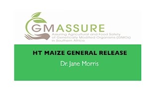 HT  Maize General Release