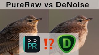 DXO PureRAW 2 vs Topaz DeNoise - Which program is the best? 1:1 Results and Comparison