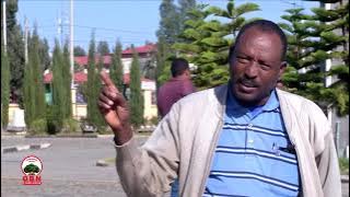 Qabeenya qaalii uumaan hundumaaf qixa kenne beektuu laata?