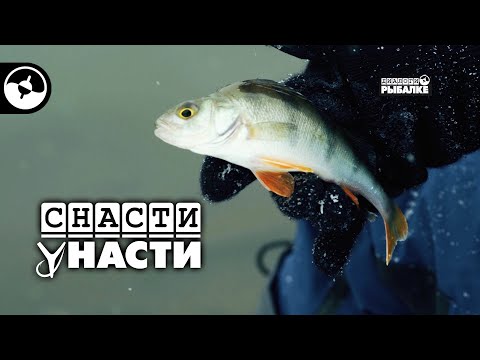 Зимний фидер в Марьино | Снасти у Насти