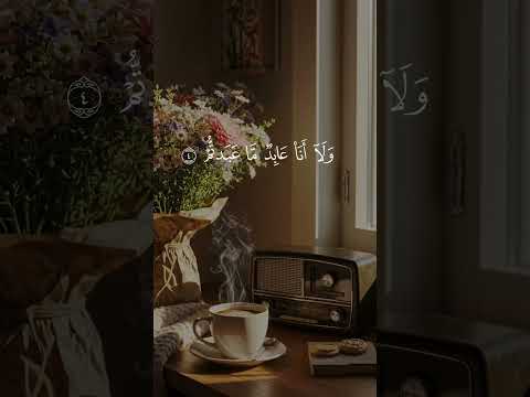 خشوع يملأ القلب عبدالعزيز السحيم سورة الكافرون