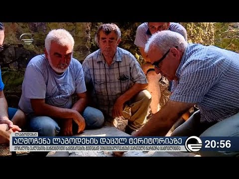 აღმოჩენა ლაგოდეხის დაცულ ტერიტორიაზე