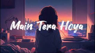 Main Tera Hoya Sambhal Le Tu Menu | (slow reverb) |