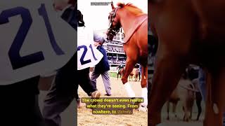The Greatest Underdog Run in Kentucky Derby History #horse #equine #kentuckyderby  #facts #trending