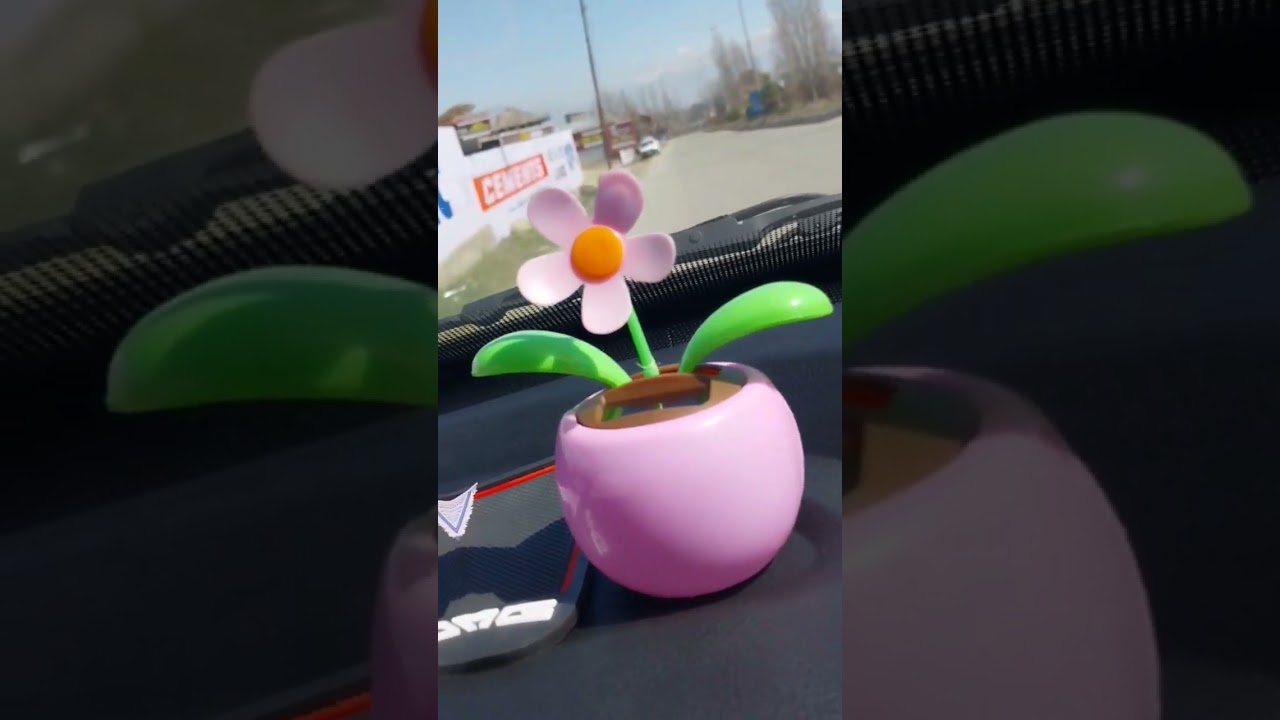 Humsai logu ko milna ka Kab shok tha 