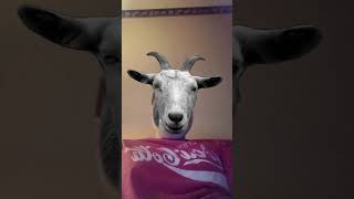 Download Lagu This Really Gets My Goat🐐😂😂 MP3