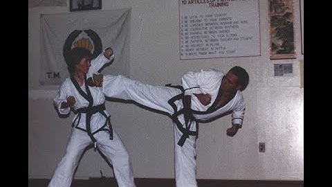 Tang Soo Do Videos #2 & #3