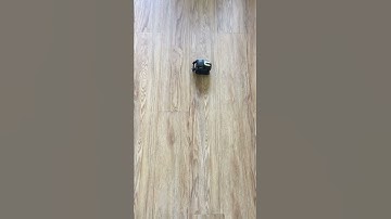 Vector Anki does figure 8