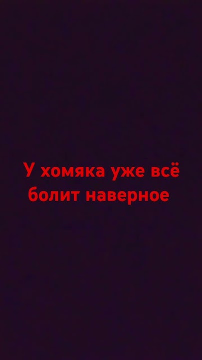 бедный хомяк - YouTube