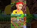 Village Heat Hacks Beat the Summer!#SummerHacks #VillageLife #ytshorts