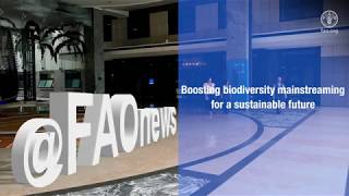 Biodiversity Mainstreaming Across Agricultural Sectors