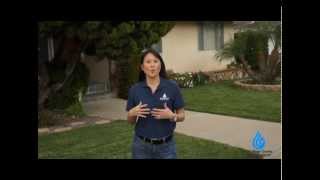 WaterSmart Turf Replacement Program