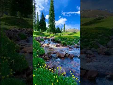 محمد منير  عتابا  باب السجن عالي اكسبلور اشتراك متابعه ولايك فضلا وليس امرآ