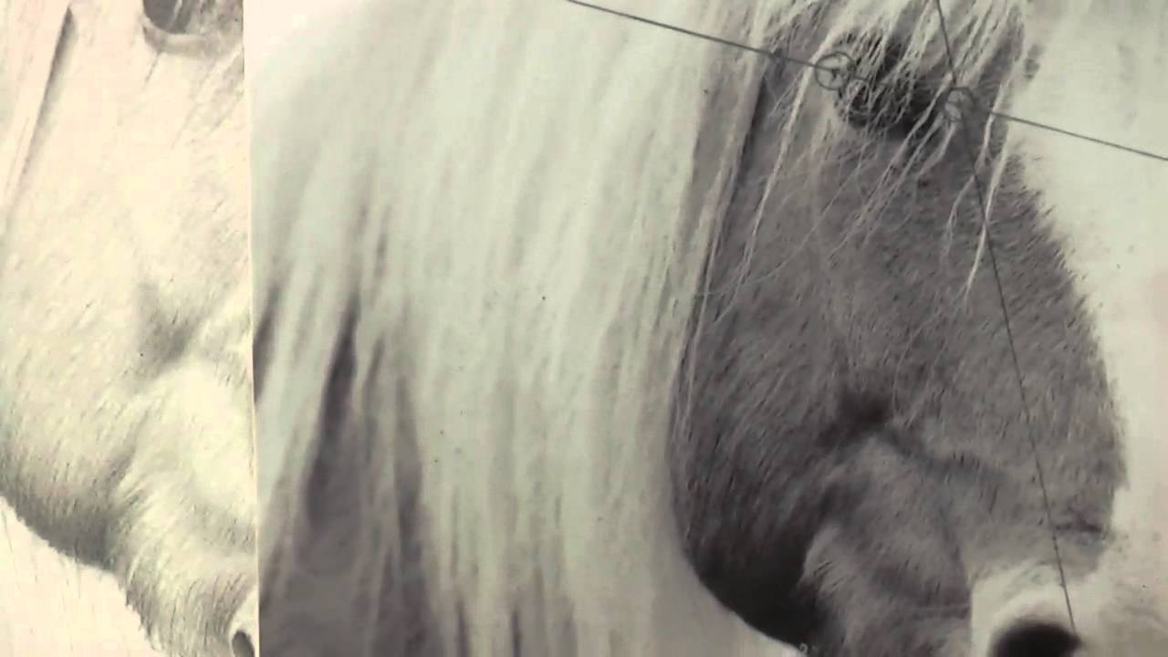 Draw Realistic Horse Hair — The Same Way You Draw Human Hair! 