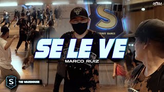 Se le ve - Dimelo, Sech, Lenny Tavarez, Justin Quiles| COREOGRAFIA  Marco Ivan Ruiz @capsulafilms6602