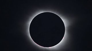 Black Sun Beat Maker Pro