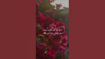 حالات واتس قرآن| القارئ عمر محجوب