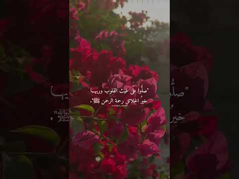 حالات واتس قرآن القارئ عمر محجوب