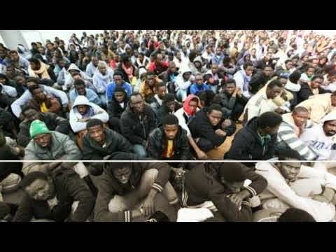 Lamstar - immigrées