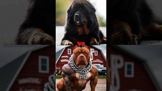 TIBETAN MASTIFF VS ALL DOGS (COMPARISON) #dog #viral #shorts #trending #animals #pets #سگ