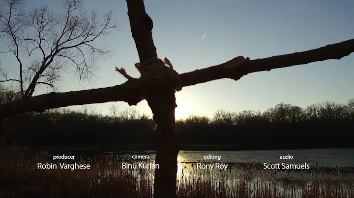 Fr. Joseph Gill, "Wood So Dear" Official Music Video