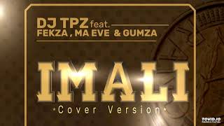 DJ TPZ feat. Fekza, Ma Eve & Gumza - Imali (Cover version)