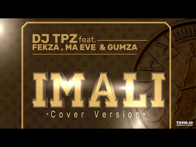 DJ TPZ feat. Fekza, Ma Eve & Gumza - Imali (Cover version) class=
