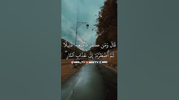 ماهر المعيقلي - سورة البقرة ( برواية حفص عن عاصم ) الأية 126 - 127