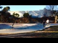 Steve caballero derby park santa cruz