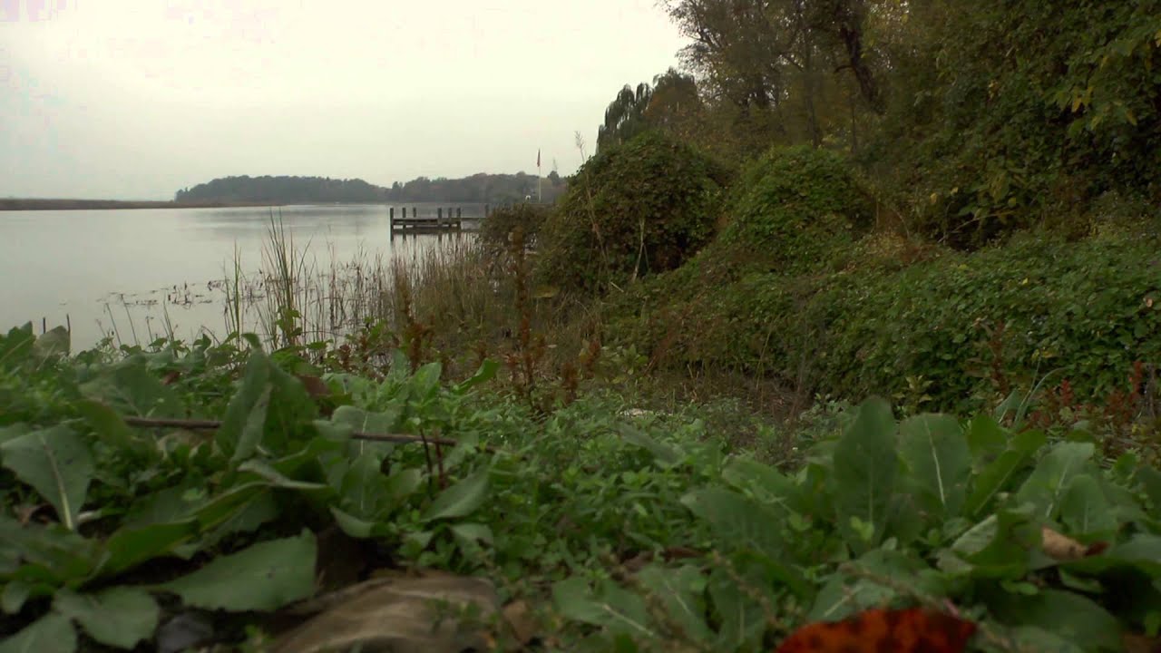 Lower Marlboro Wharf YouTube