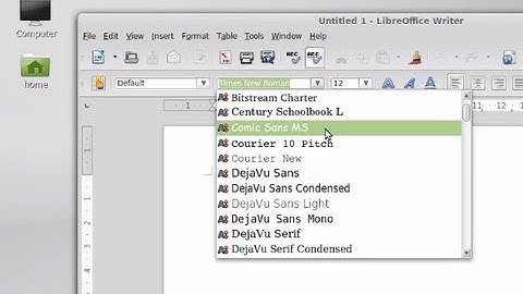 Install Microsoft ( MS) Fonts True Type in Linux Mint