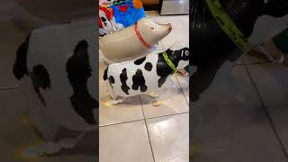 Walking Cow and Pig Balloons