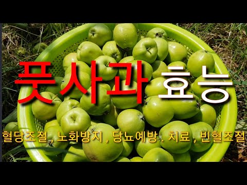 Weight Loss Benefits, Anti-Aging, Lowering Cholesterol Levels, Diabetes Treatment & Prevention, H...