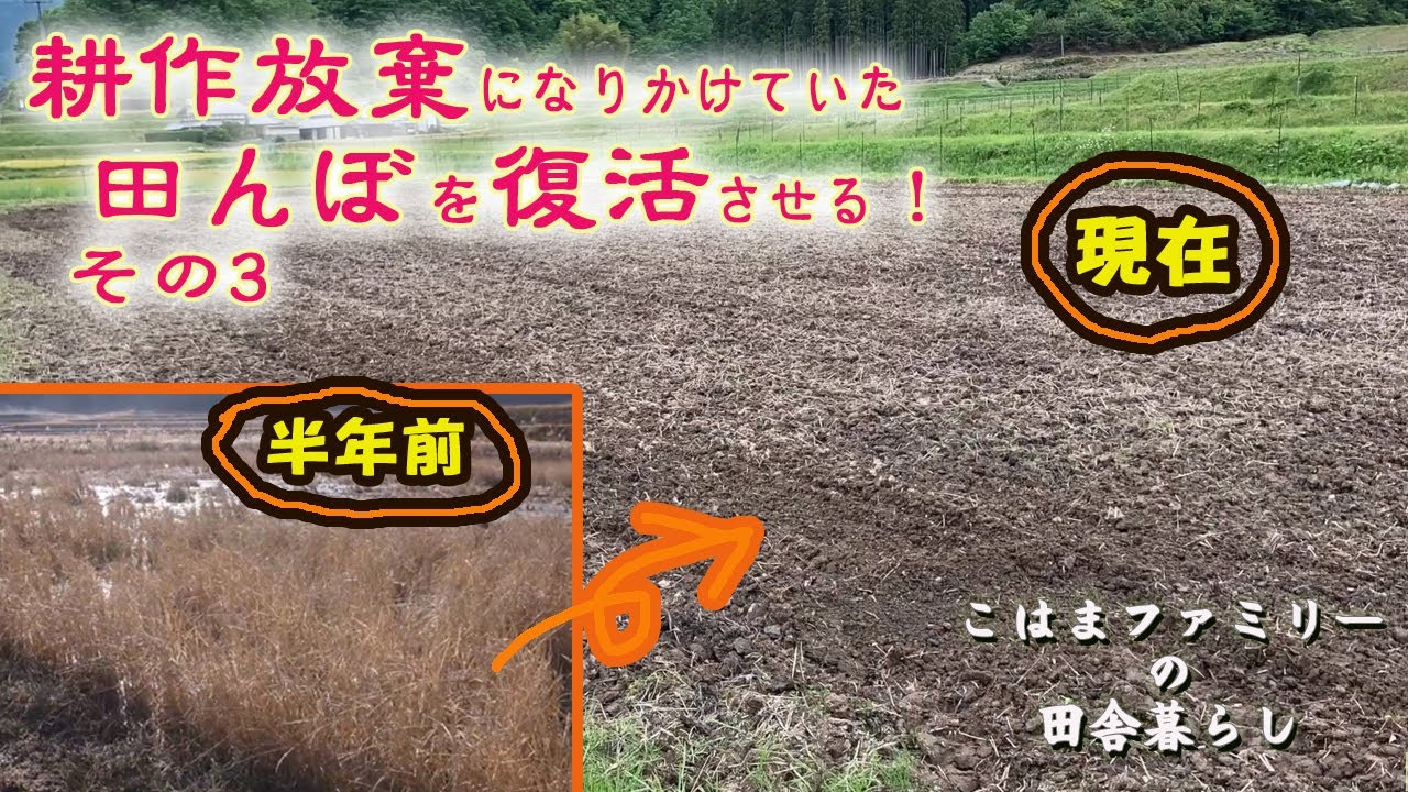 【耕作放棄になりかけていた田んぼを復活させる！その３】～ひたすら草刈りそして耕運～