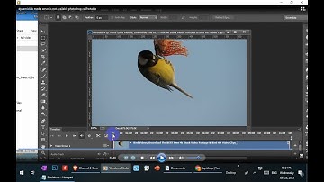 dynamiclink media server is not available photoshop cs6||Portable 2023