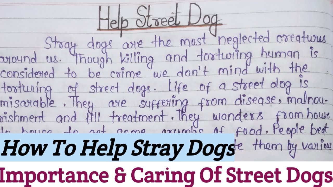 write an essay on stray dogs