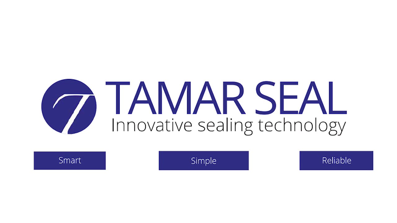 Mechanical shaft seals - Tamar technology