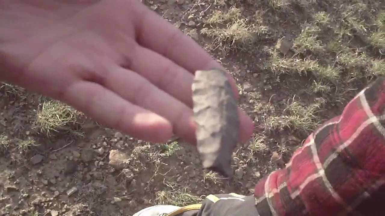 Arrowhead Hunting NM YouTube