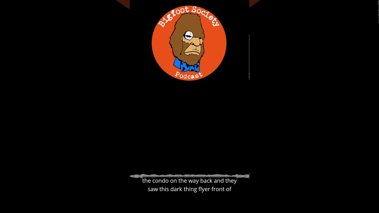 Patreon interview about Chicago Mothman with Lon Strickler from Phantoms and Monsters #shorts