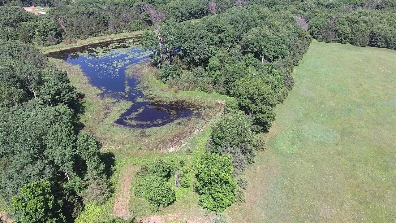 Central WI Deer & Waterfowl Hunting Land For Sale YouTube