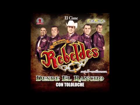El Cisne - Los nuevos rebeldes