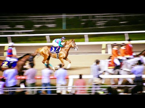 2017.06.28第40回帝王賞(JpnⅠ)本馬場入場＆返し馬＠大井競馬場