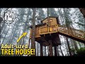 Magical tree house w ocean view built by adventurous couple