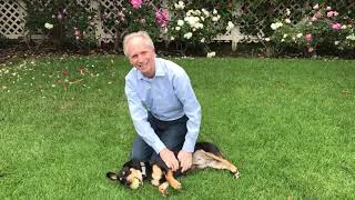 Lecturer patrick goodman congratulates the ucla law class of 2020 on
occasion school’s virtual commencement celebration may 15, 2020.